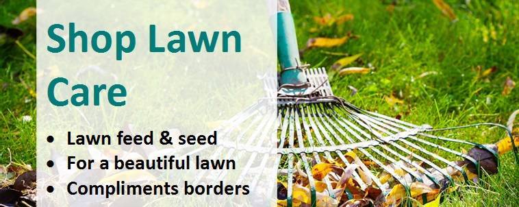 Shop Lawn Care